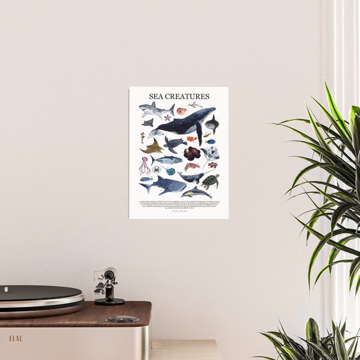 SEA CREATURES poster with names Poster Gallery Image 2