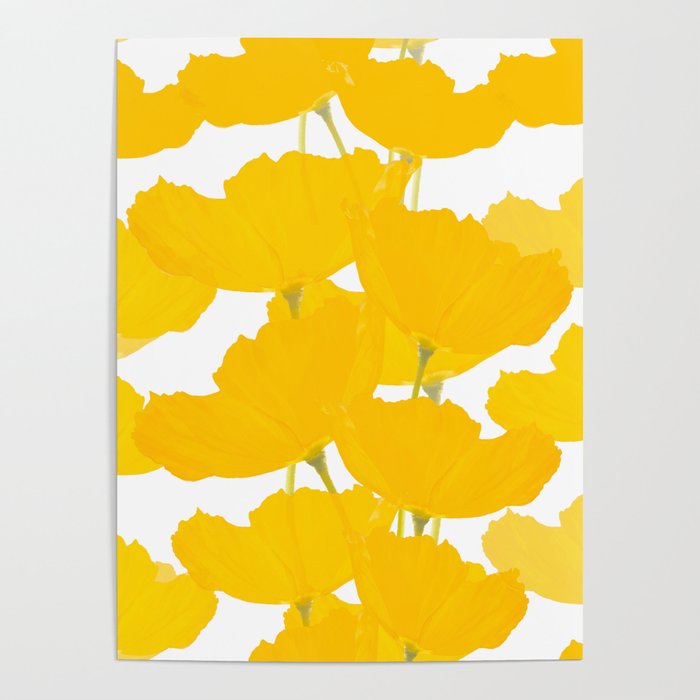 Yellow Mellow Poppies On A White Background #decor #society6 #buyart Poster Gallery Image 1