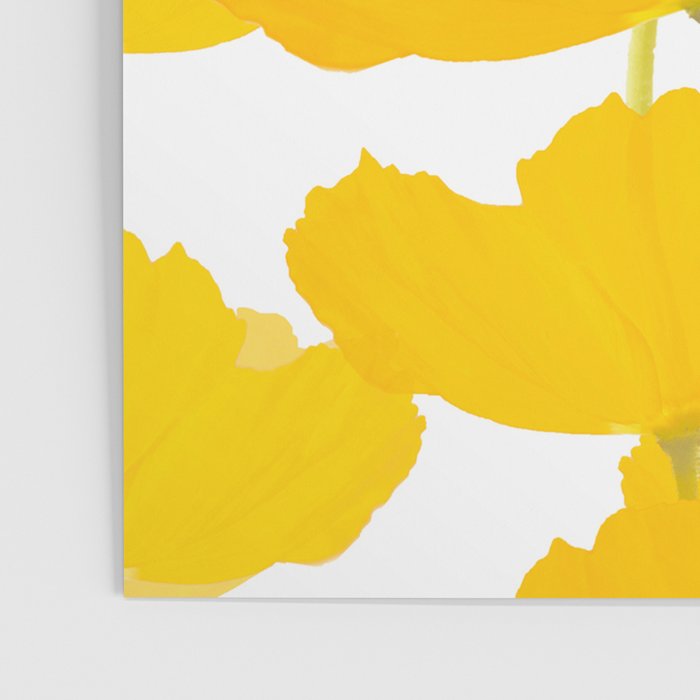 Yellow Mellow Poppies On A White Background #decor #society6 #buyart Poster Gallery Image 3