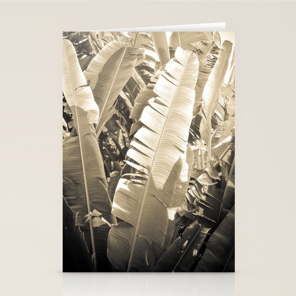 Banana Leaf Stationery Card Gallery Image 1