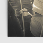 Banana Leaf Poster Gallery Image 3