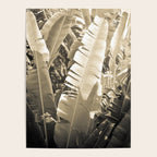Banana Leaf Poster Gallery Image 4