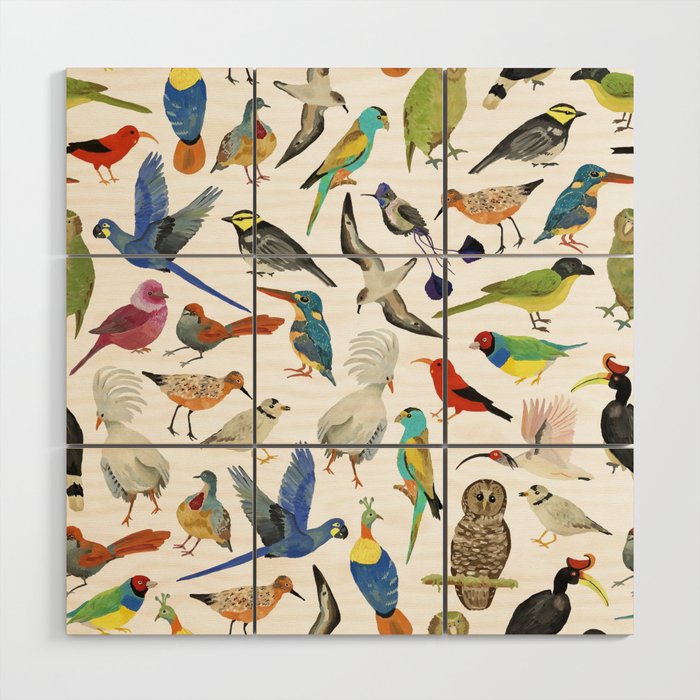 Endangered Birds Around the World Wood Wall Art Gallery Image 1