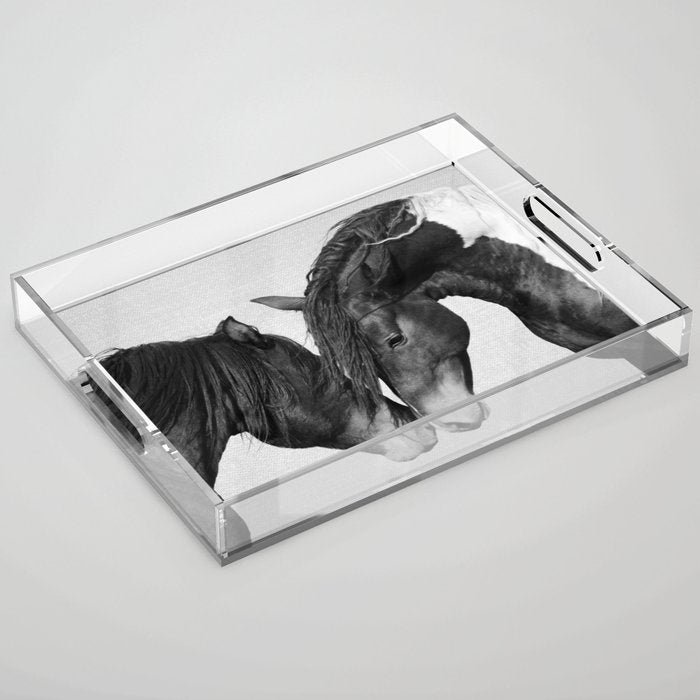 Horses - Black & White 4 Acrylic Tray Gallery Image 1