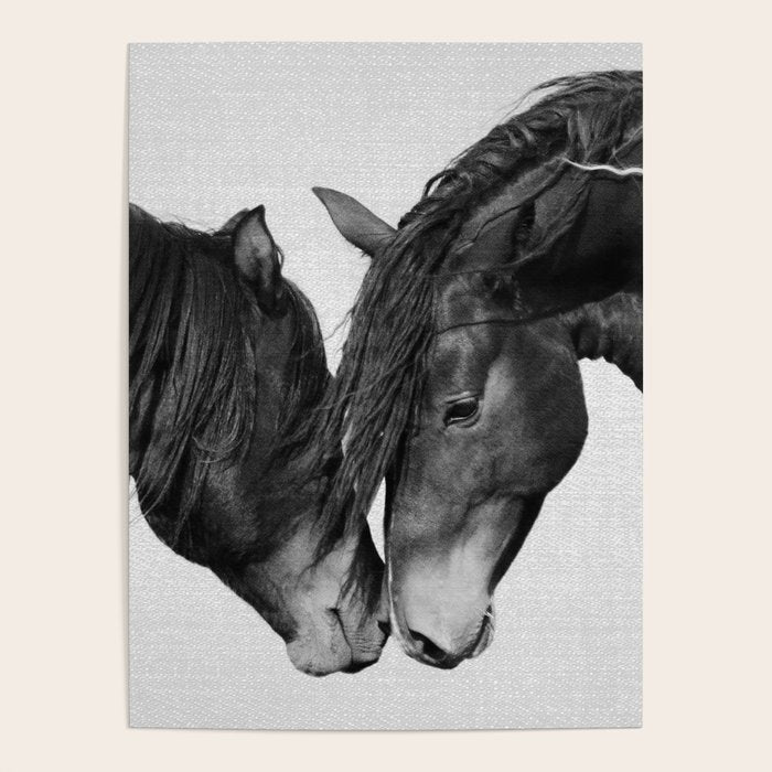 Horses - Black & White 4 Poster Gallery Image 4
