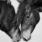 Horses - Black & White 4 Coffee Mug Gallery Image 2
