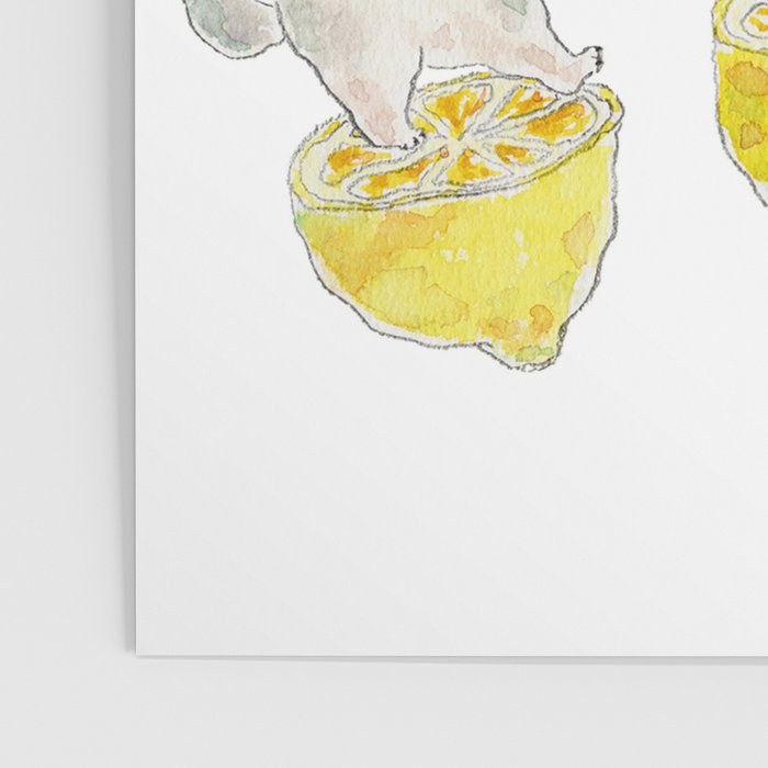 lemon nyanco Poster Gallery Image 3