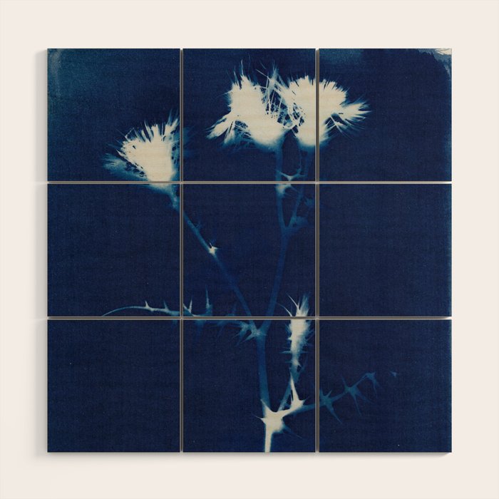 Magic in the Ordinary #2 Wood Wall Art Gallery Image 1