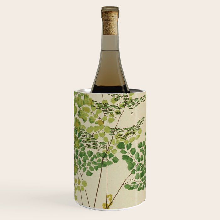 Maidenhair Ferns Wine Chiller Gallery Image 3