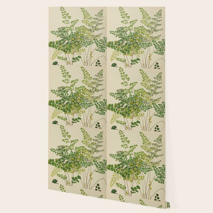 Maidenhair Ferns Wallpaper Gallery Image 2