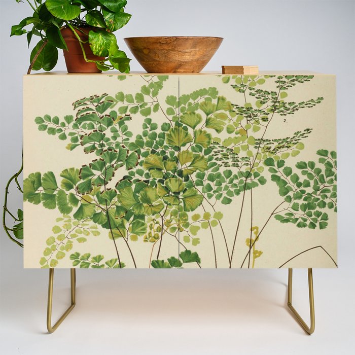 Maidenhair Ferns Credenza Gallery Image 1