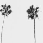 Black & White Palms Coffee Mug Gallery Image 2