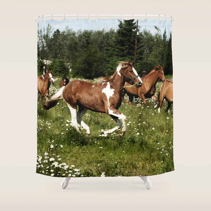 Spring Horse Run Shower Curtain Gallery Image 1