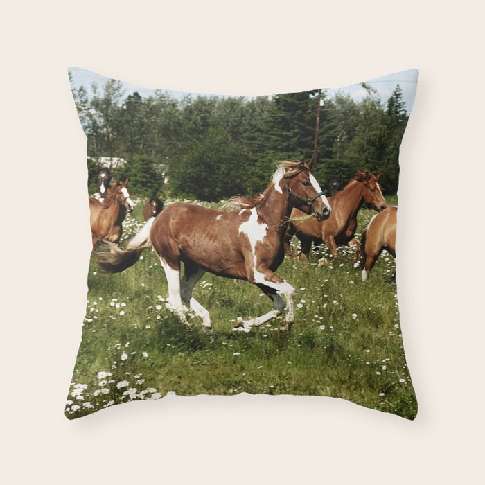 Spring Horse Run Throw Pillow Gallery Image 6
