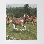 Spring Horse Run Throw Blanket Gallery Image 2