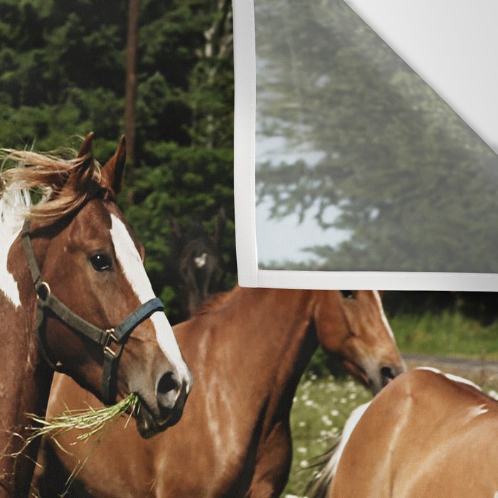 Spring Horse Run Wall Tapestry Gallery Image 3