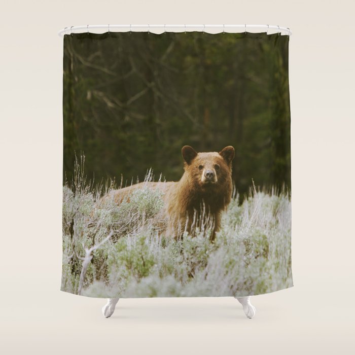 Bush Bear Shower Curtain Gallery Image 1