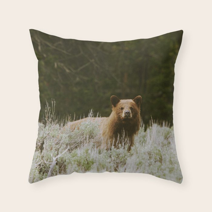 Bush Bear Throw Pillow Gallery Image 1