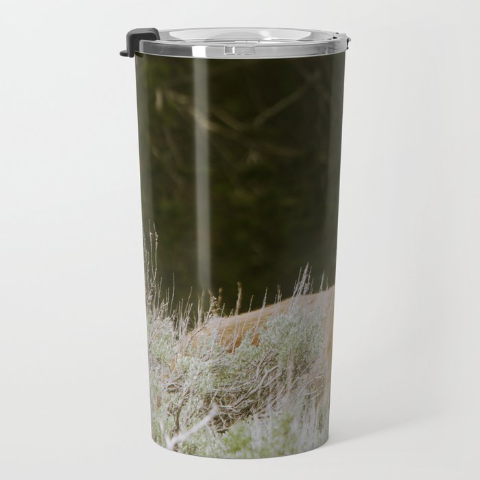 Bush Bear Travel Mug Gallery Image 3