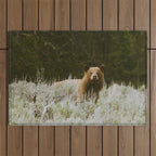 Bush Bear Outdoor Rug Gallery Image 1