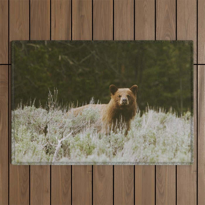 Bush Bear Outdoor Rug Gallery Image 1