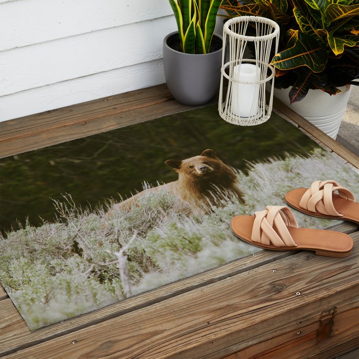 Bush Bear Outdoor Rug Gallery Image 2