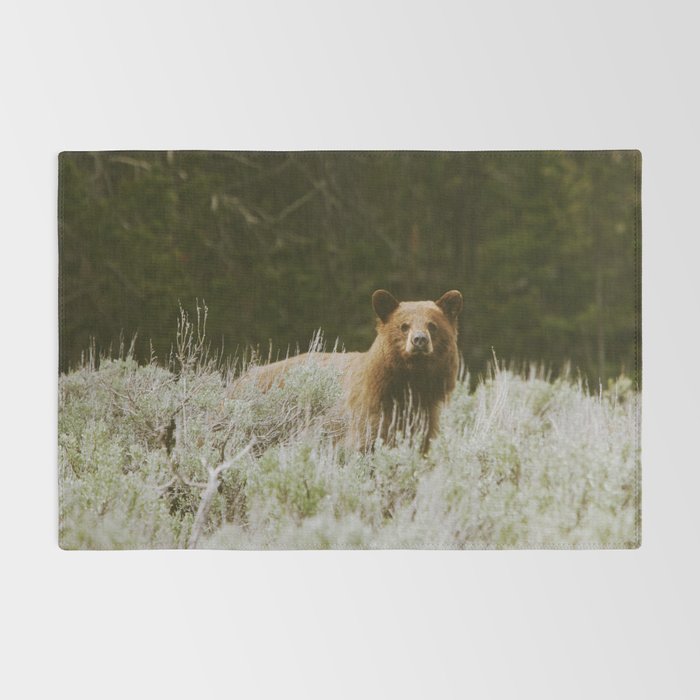 Bush Bear Rug Gallery Image 2