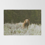 Bush Bear Rug Gallery Image 2