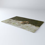 Bush Bear Rug Gallery Image 3