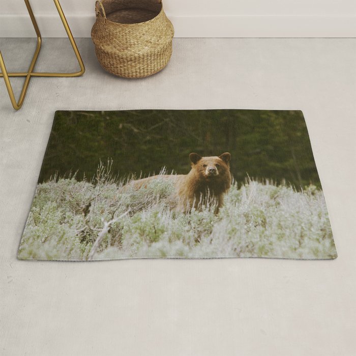 Bush Bear Rug Gallery Image 1