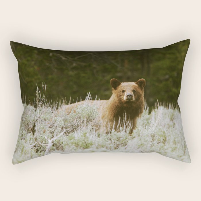 Bush Bear Rectangular Pillow Gallery Image 2