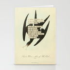 Bird Divinations: Frigate Pelican (about: almanacofbirds.org) Stationery Card Gallery Image 2