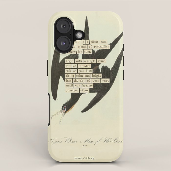 Bird Divinations: Frigate Pelican (about: almanacofbirds.org) iPhone Case Gallery Image 1