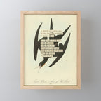 Bird Divinations: Frigate Pelican (about: almanacofbirds.org) Mini Art Print Gallery Image 1