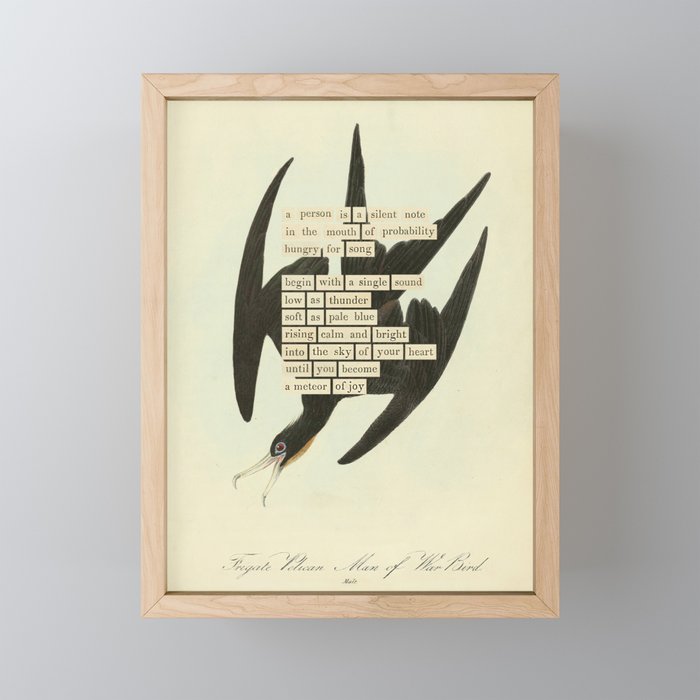 Bird Divinations: Frigate Pelican (about: almanacofbirds.org) Mini Art Print Gallery Image 1
