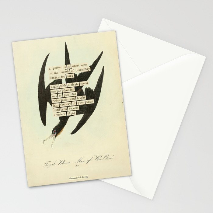 Bird Divinations: Frigate Pelican (about: almanacofbirds.org) Stationery Card Gallery Image 2