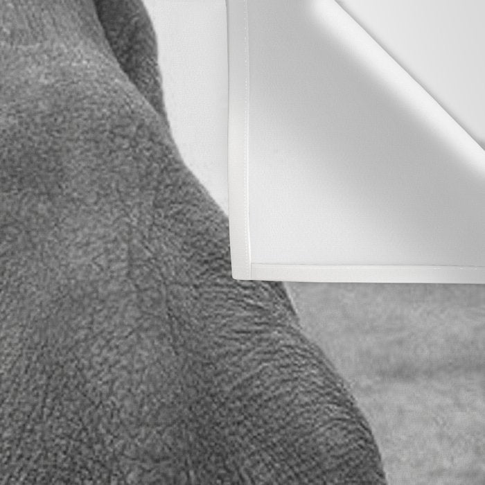 Odd Best Friends, Sweet Little Girl hugging elephant black and white photograph Wall Tapestry Gallery Image 3