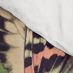 Minimal Collage/ Hand, Plants and Butterflies 4 Comforter Gallery Image 4