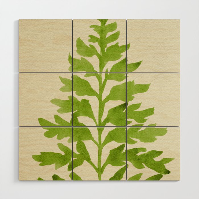 Lime Fern Wood Wall Art Gallery Image 1