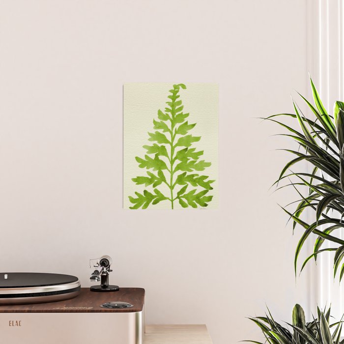 Lime Fern Poster Gallery Image 2
