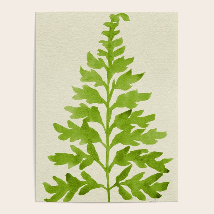 Lime Fern Poster Gallery Image 1