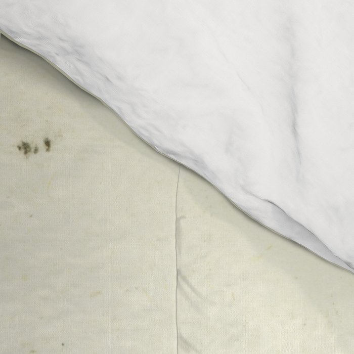 Peekaboo Comforter Gallery Image 4
