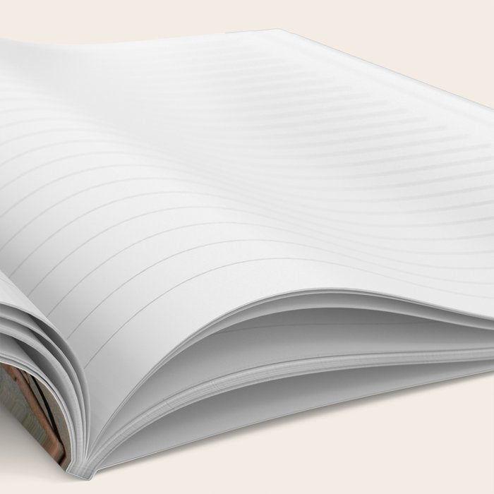 Octopus in the pool Notebook Gallery Image 2