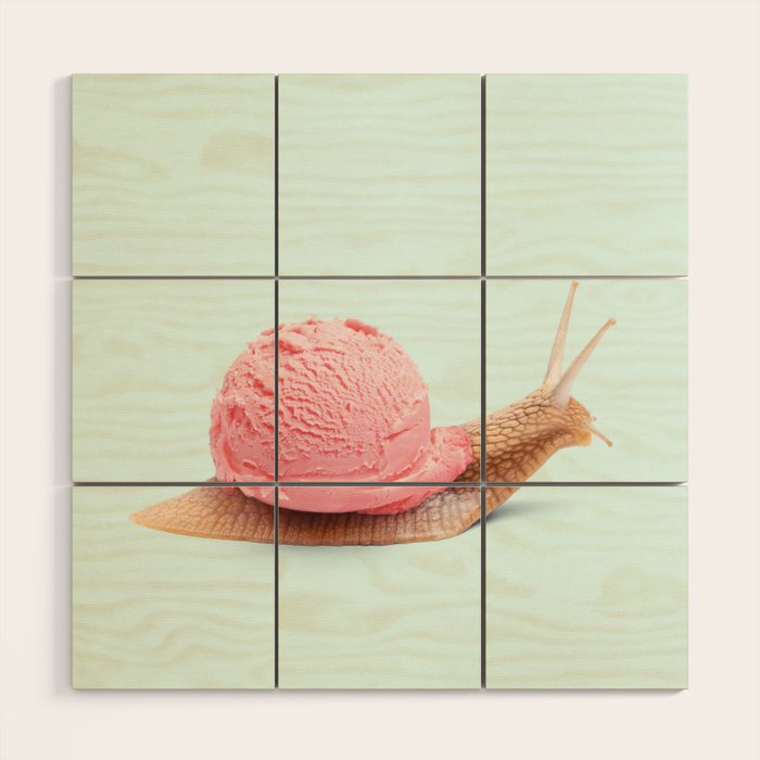 ICE SNAIL Wood Wall Art Gallery Image 1