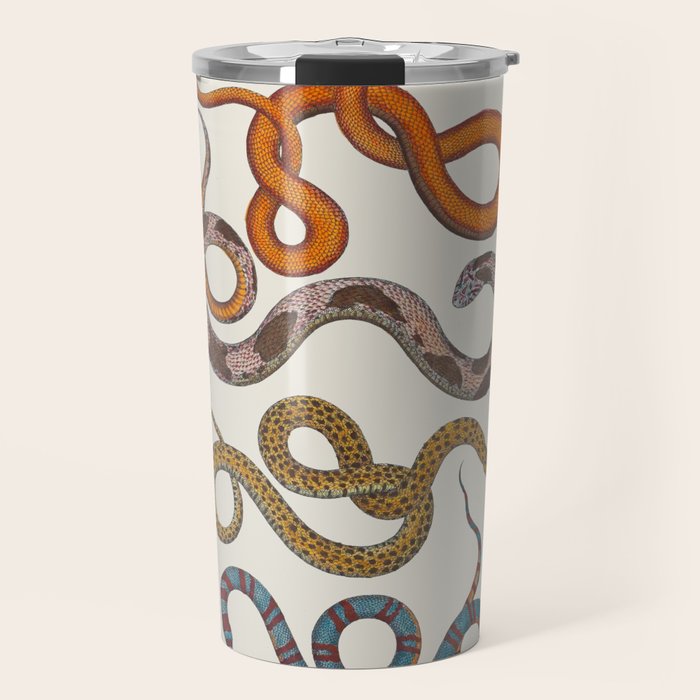 Albertus SEBA four snake scales  Travel Mug Gallery Image 1