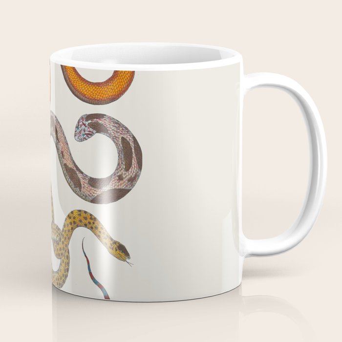 Albertus SEBA four snake scales  Coffee Mug Gallery Image 1