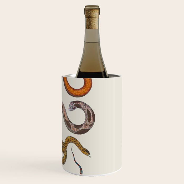 Albertus SEBA four snake scales  Wine Chiller Gallery Image 3