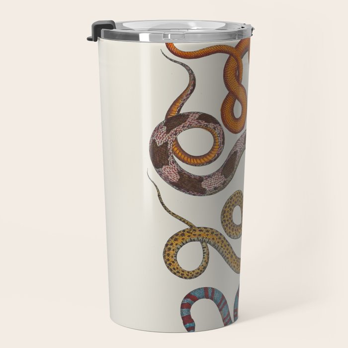 Albertus SEBA four snake scales  Travel Mug Gallery Image 3