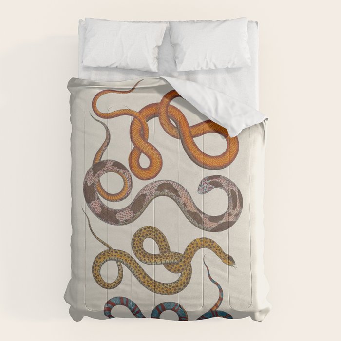 Albertus SEBA four snake scales  Comforter Gallery Image 1