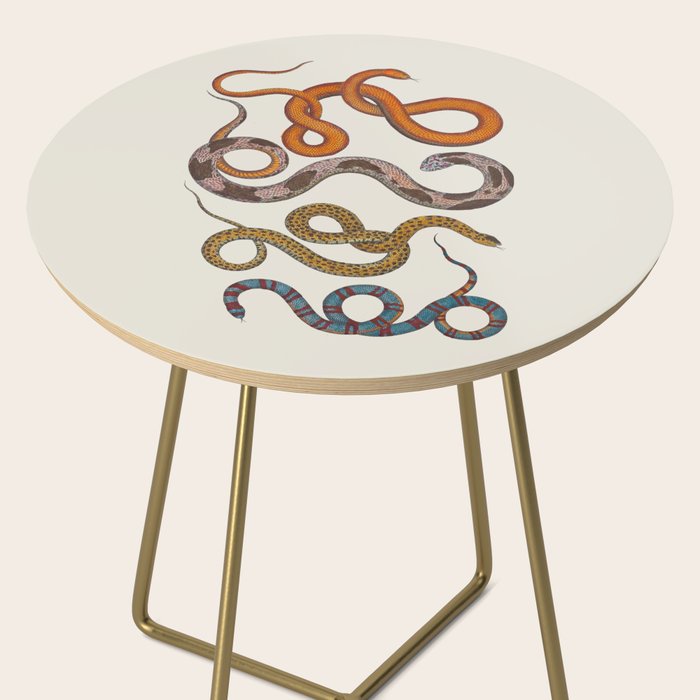 Albertus SEBA four snake scales  Side Table Gallery Image 2